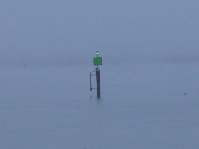 lateral marker in bay water with fog rolling in