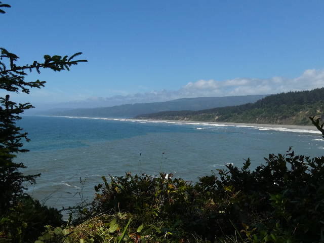 beach and forest stretching into the distance