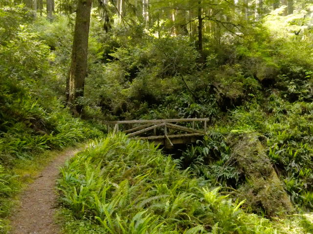 rustic wooden bridge on walking trail