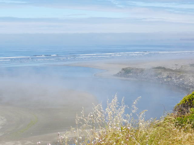 low mists crossing a brackish water transitory zone