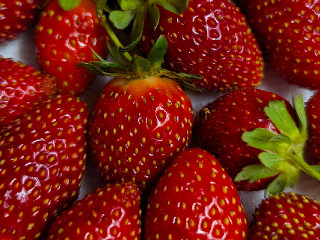 bright red strawberries from the backyard garden