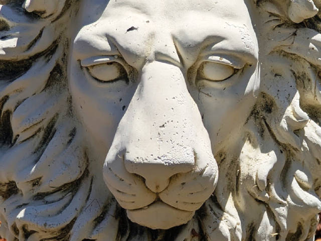 a stone lion face with creases dark with dust and dirt
