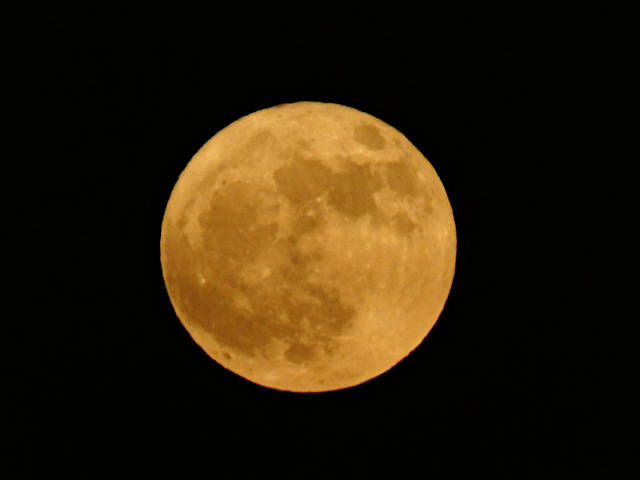 photo of the full strawberry moon low on the horizon and tinted yellow