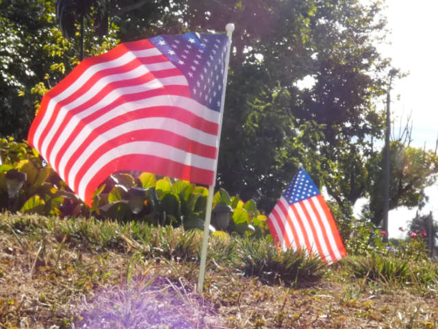 photo of a lawn flags taken at low angle with sunlight lens flares