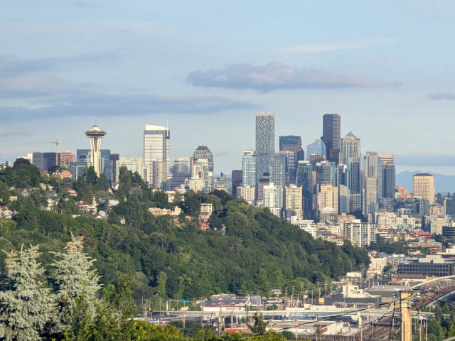 downtown seattle seen from ella bailey park