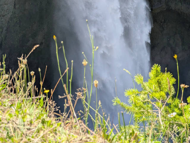 waterfall with grass and wldflowers in the foreground
