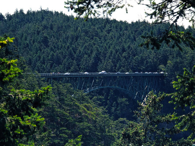bridge with cars in the distance surrounded by trees