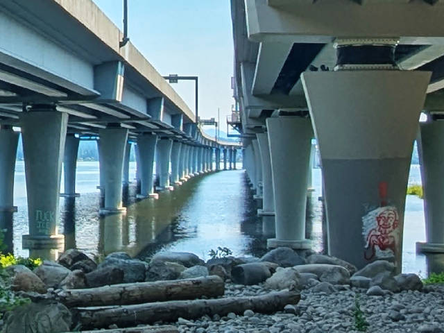 dual highway bridges crossing over lake washington as seen from below on foster island