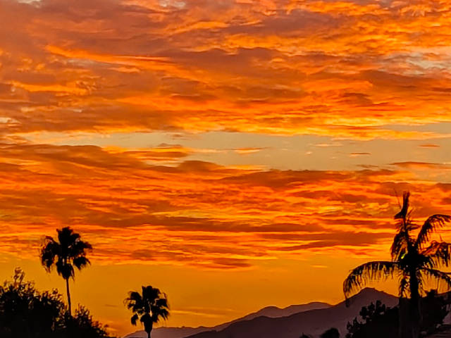 orange and red sunset clouds above darkened palms and hill horizon