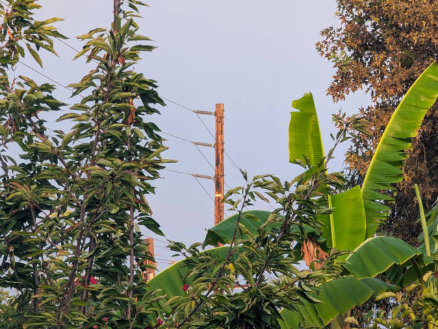 power lines