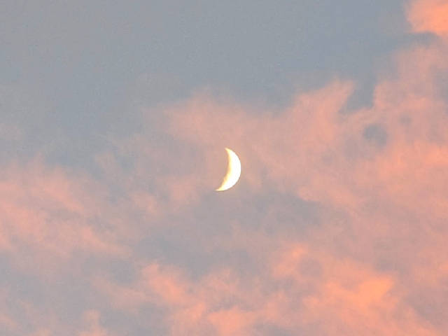 crescent moon and pink sunset clouds
