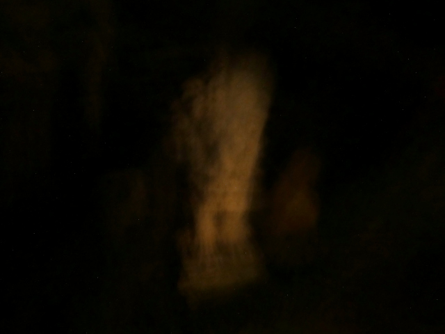 moving long exposure in dark garden statue of a lion