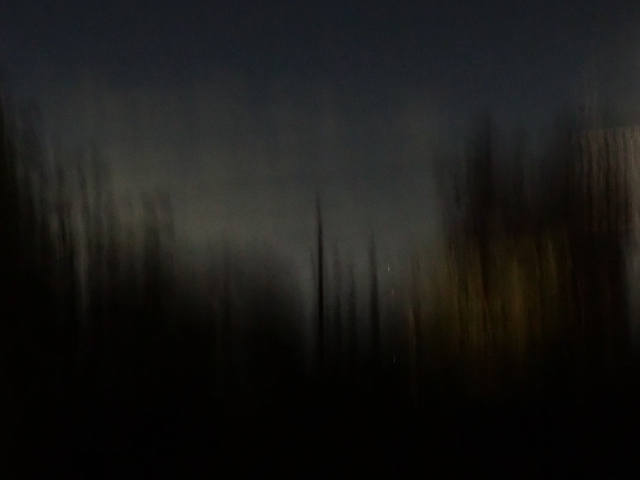 spooky low light long exposure of tree tops and night sky