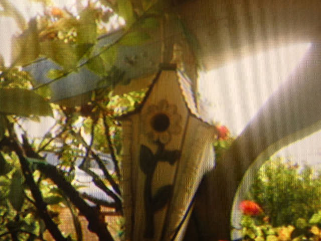 photo of a photo of a birdhouse displayed on an old crt tv