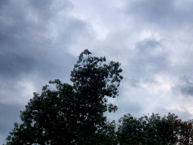 the clouds beginning to look stormy