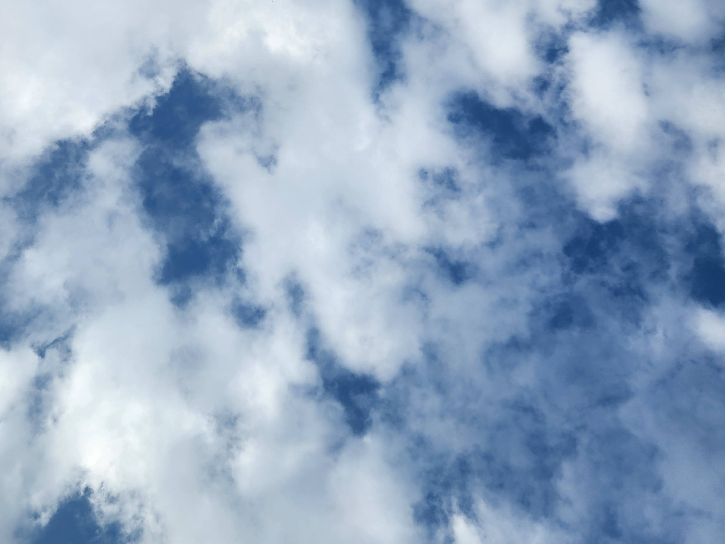 fluffy clouds, blue skies