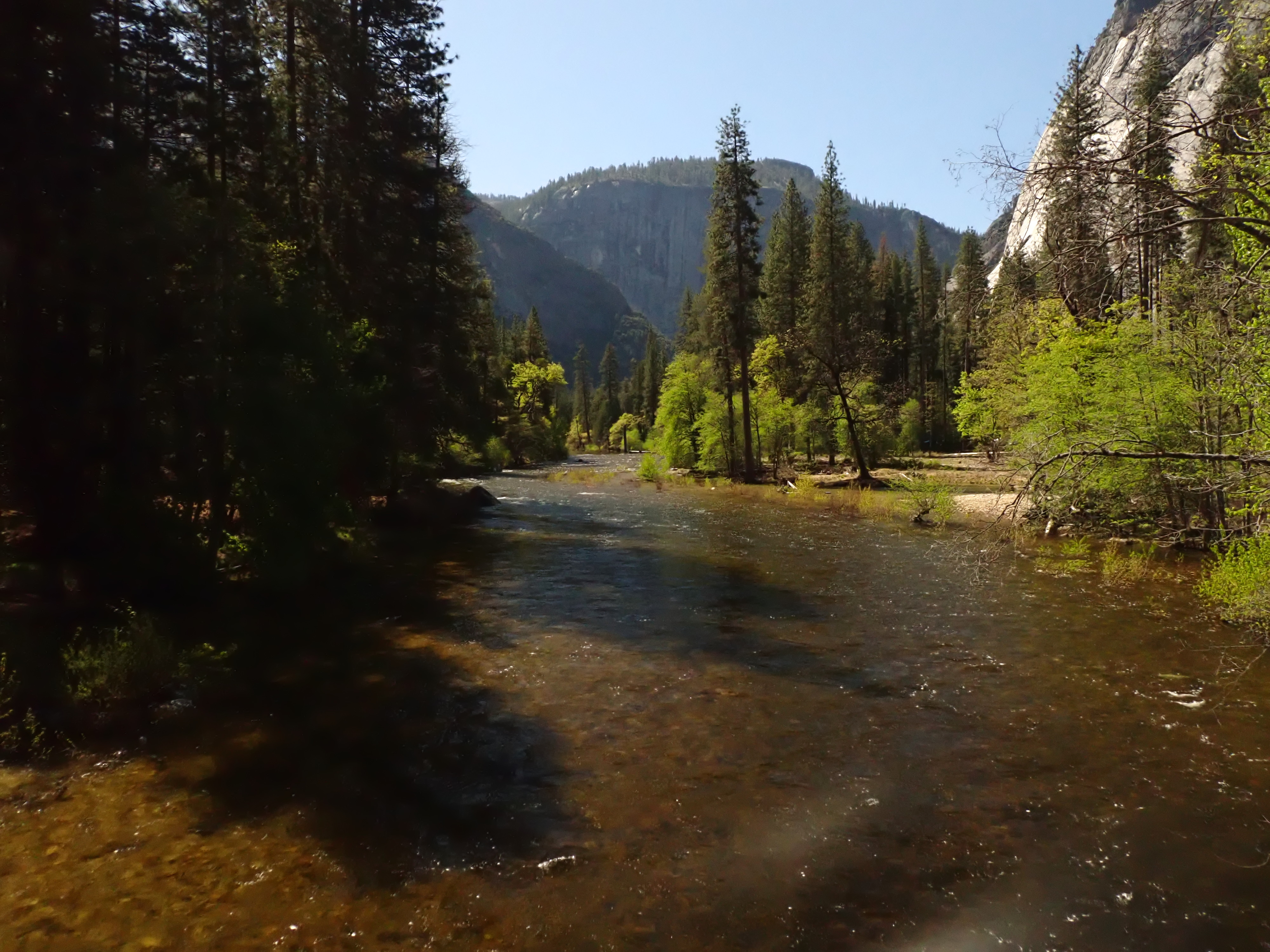 Dreamlike vision of the Merced River through the Yosemite Valley