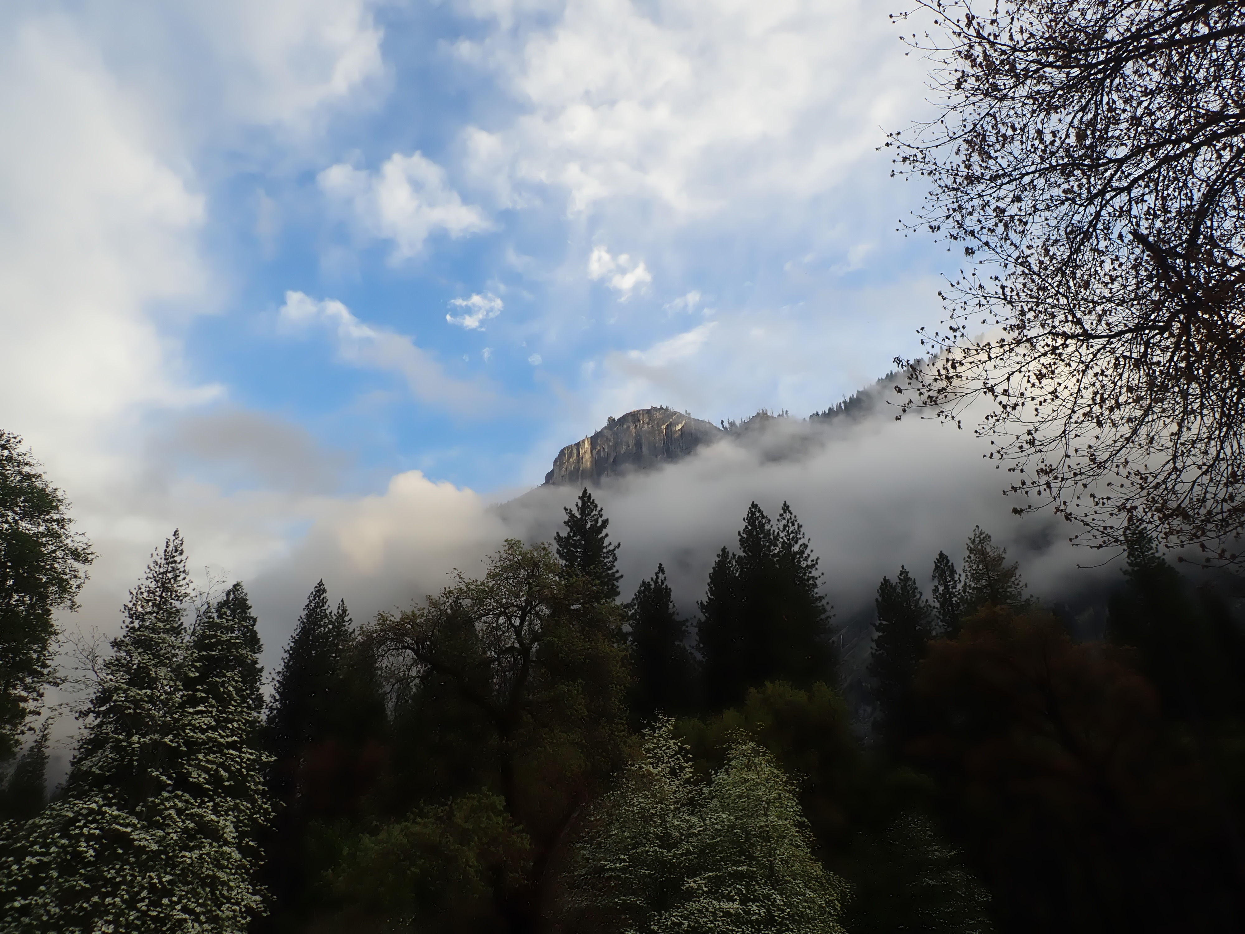 Low clouds separating rocky cliffs and evergreen forest trees in Yosemite Valley